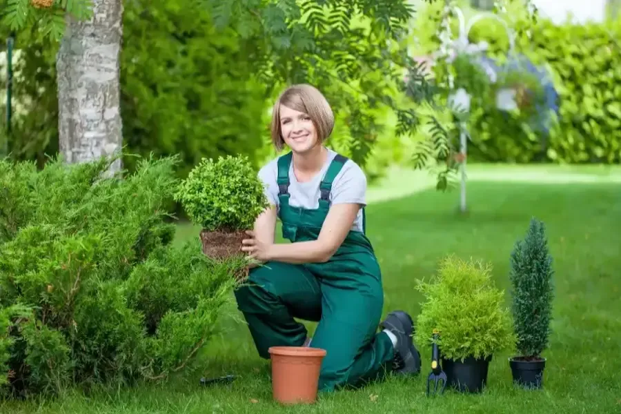 How Landscaping Services Address Drainage And Irrigation Issues Shelton, WA