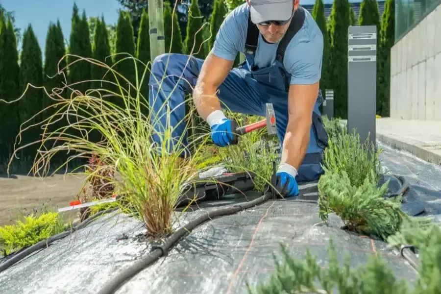 How Landscaping Services Can Transform Your Propertys Curb Appeal in Shelton, WA