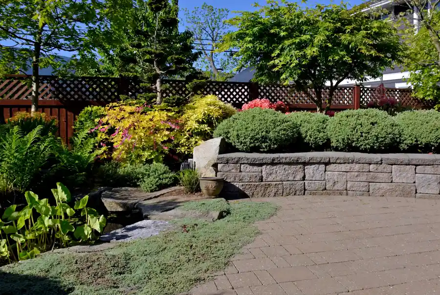 Managing Tree Growth Near Stone And Paver Surfaces in Shelton, WA