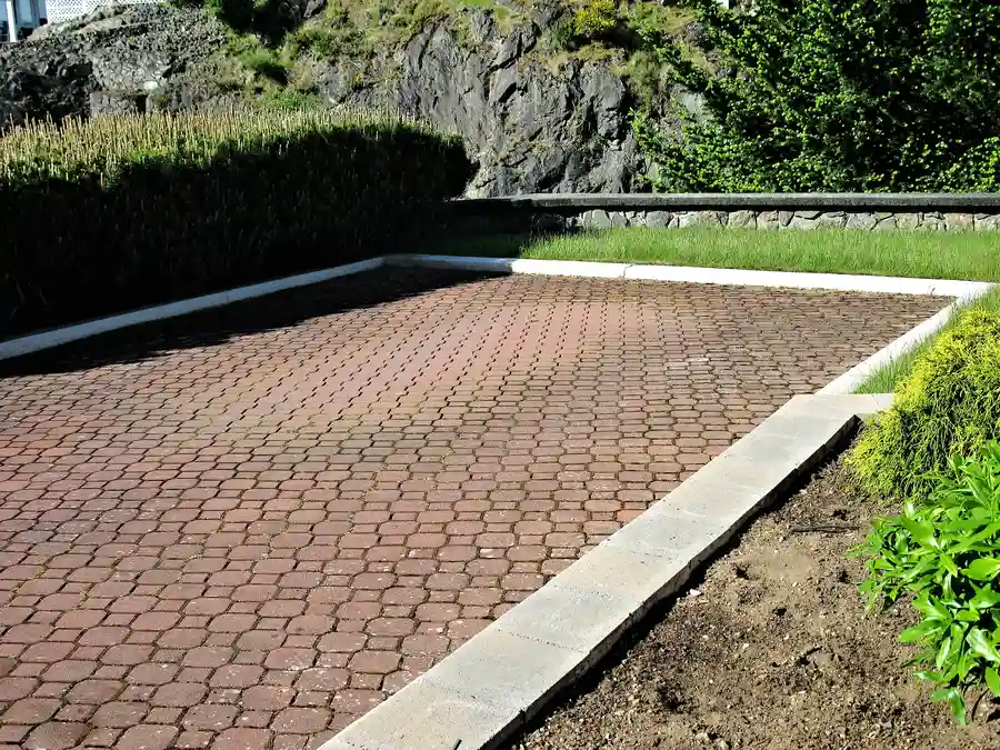 Tree Removal Tips For Expanding Hardscape Areas in Shelton, WA